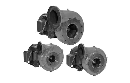 Pentair Berkeley B-Series Commercial Pool Pumps