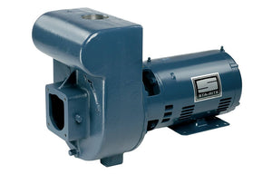 Pentair D SERIES™ Commercial Pool Pump