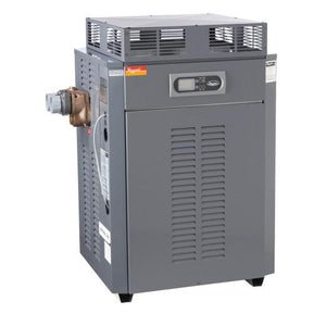 Raypak Residential/Commercial Gas Pool & Spa Heaters